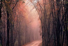 3377体育：乱侃｜詹姆斯生涯最好的队友是东契奇？.