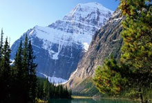 3377体育：[乒乓球]逆风翻盘 孙颖莎击败张本美和晋级四强.