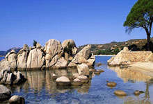 羅馬諾稱切爾西有意簽下內托，狼隊則關註阿賈克斯邊鋒福布斯.